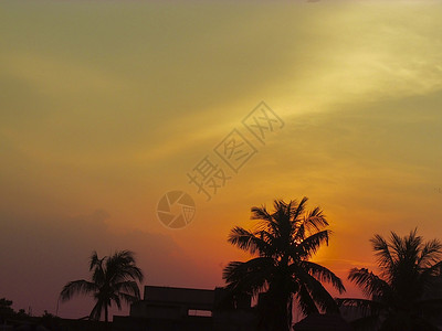日落时云云与椰子树的周光云背景图片