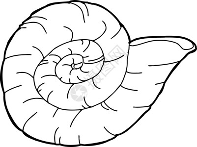 蜗牛手绘安蒙海贝壳鱼化石卡通片化石手绘绘画插图菊石贝类古生物学侏罗纪动物背景