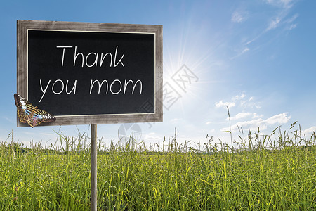 小蝴蝶装饰纸板和文字 谢谢妈妈框架卡片场地妈妈们环境母亲蝴蝶黑板植物地面背景