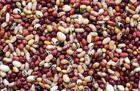不同颜色和种类的豆豆细绳植物小旗蔬菜食物农业园艺花斑营养海军背景图片