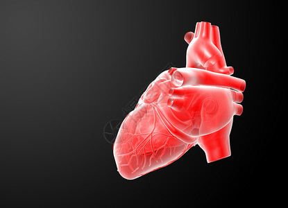 3d 变红心器官尖牙融合诊断主动脉压力插图心脏病学攻击阀门图片