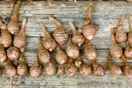 切罗基焦罗根组异国芋头食物横截面热带白色蔬菜情调水果团体背景