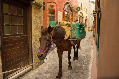 在希腊莫内姆瓦西亚的狭窄小巷里的马匹高清图片