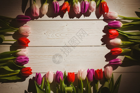 Tullip 形成框架花束树叶绿色阴影粉色叶子桌子紫色植物花瓣背景图片