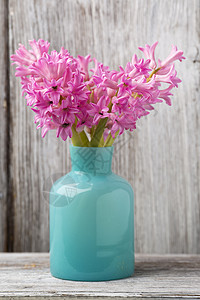 雅金丝植物叶子植物学宏观花束粉色绿色背景图片
