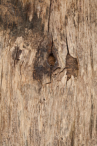 木头木板棕色硬木背景图片