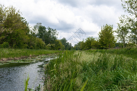 有绿草的小河叶子溪流大堤乡村天气土地风景河岸河道小溪背景
