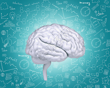 人脑背景蓝色丘脑网络社交解决方案标题额叶数字背景图片