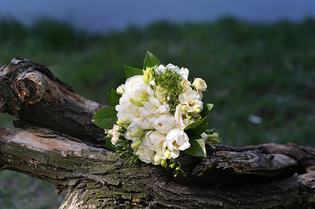 以自然为主题的婚礼新娘花束高清图片