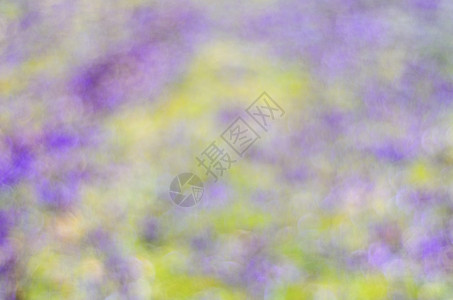 春紫绿底色背景绿色紫色艺术白色强光墙纸背景图片