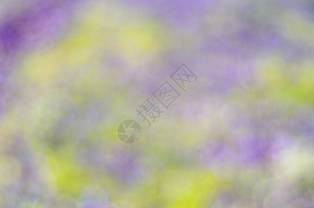 春紫绿底色背景墙纸白色绿色紫色强光艺术背景图片