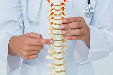 脊柱健康医生指着解剖脊椎从业者女性模型职业专家医疗专业脊柱人骨服务背景