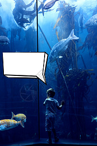 鱼框语音泡沫的复合图像男生沟通学习讲话海上生活话框双手演讲鱼缸游泳背景