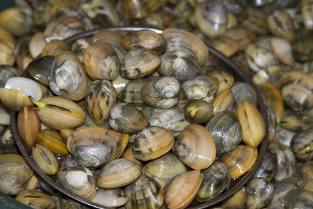 海扇壳印度果阿 印度鱼市上新鲜的兰戈拉壳壳节食海鲜团体动物餐厅营养烹饪甲壳宏观市场背景
