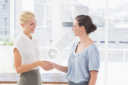 女商务人士握手生意人套装合作合伙行政人员团队伙伴头发商界员工背景图片