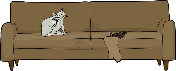 弹簧猫被损坏的沙发猫背景