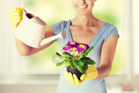 人类园丁妇女拿着花盆家务植物主妇活动家庭花园种植女孩女性国家背景