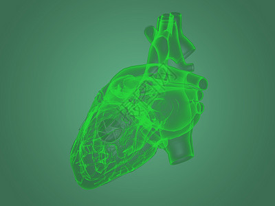 人类心脏X射X光心脏解剖医院扫描药品解剖学生物学器官呼吸关心黑色技术背景