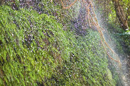 降水雨生态旅游斜瀑布高清图片