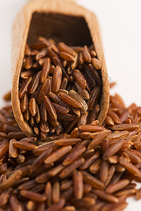 红大米木头荒野臀部谷物粮食食物饮食团体背景图片