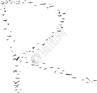 雅马哈r1鸟类形成在R插图字母编队蝙蝠飞行动物背景