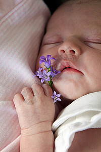 小s正在睡觉的新生儿婴儿美容人类新生健康睡眠孩子监视保健科学新生活背景