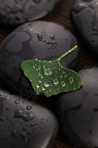 黑色背景水带有水滴的zen石块和ginkobiloba叶子植物群冥想反射药品银杏叶治疗禅意石头岩石福利背景