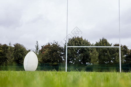 橄榄球在投球沥青世界邮政杯子行动运动运动员绿色播放器门球背景图片