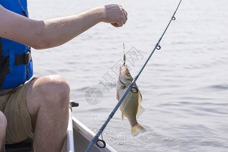 新渔获的渔民 伊利湖高清图片