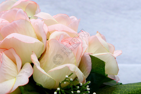 白布背景上的粉粉人工花花束花瓶丝绸粉色礼物玫瑰树叶纹理白色植物背景图片