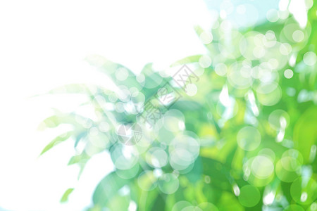 发光的植物抽象的自然模糊背景 无焦点叶 bokeh季节圆圈太阳树叶微光艺术火花生态绿色植物辉光背景