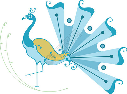 美丽雄性孔雀孔雀手笔漩涡羽毛波峰艺术滚动模版尾巴翅膀装饰品书法设计图片