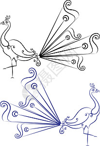 孔雀尾巴孔雀手笔夹子波峰羽毛模版漩涡野生动物曲线翅膀尾巴动物设计图片