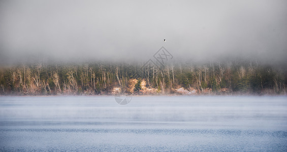 重明鸟加拿大安大略省的重雾 从渥太华河上拔除大雾毯子海岸线孤独寒冷海滩岩石蓝天支撑寒意边缘地平线背景