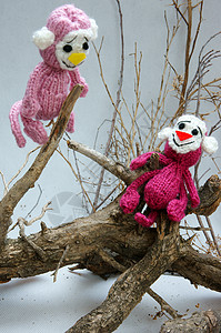 猴子模型素材猴子 编织玩具 符号 手工制作猴年团体闲暇产品新年水果爱好夫妻艺术家庭背景