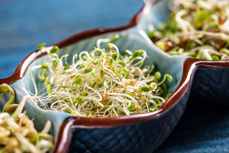 红三叶芽蔬菜沙拉蓝色三叶草木头绿色生长饮食食物叶子高清图片