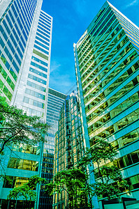 参照高高层公司和商业建筑和企业大楼背景