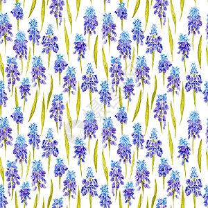 水彩花朵紫色花朵背景普罗旺斯古代浪漫主义模式叶子风格插图纺织品墙纸装饰草地场地国家艺术背景