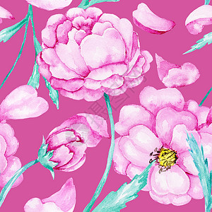 粉色水彩花朵春季开花的植物形态背景