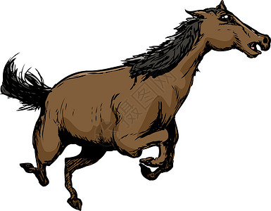 野棕马跑背景图片