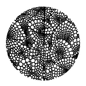 圆圆周设计按钮圆形圆圈涂鸦白色绘画想像力艺术草图黑色背景图片
