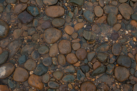 岩石河反射海滩溪流墙纸基岩河岸文摘石头叶子电流图片素材
