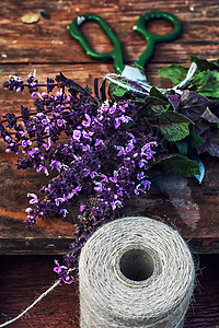 一群新鲜开花的香熏衣草香水芳香制药医疗草本草本植物薰衣草疗法紫色花园背景图片