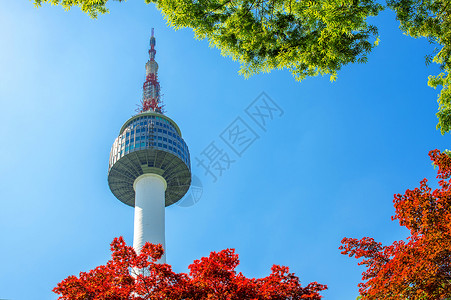 首尔塔和红色秋天的红秋月木叶 在苏南山的南山山场景风景地标公吨反射城市天际树叶景观背景图片