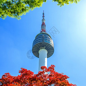 首尔塔和红色秋天的红秋月木叶 在苏南山的南山山地标公吨场景反射景观树叶城市风景天际背景