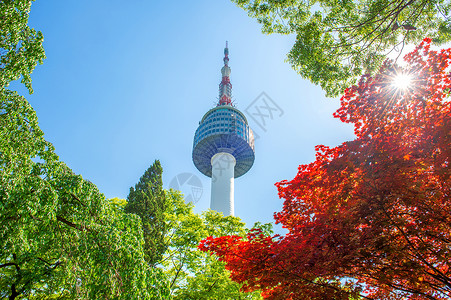 首尔塔和红色秋天的红秋月木叶 在苏南山的南山山场景公吨树叶天际城市风景反射景观地标背景