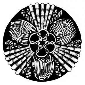 的曼达拉中心艺术品艺术黑与白衬垫黑色绘画圆形装饰品墨水背景图片