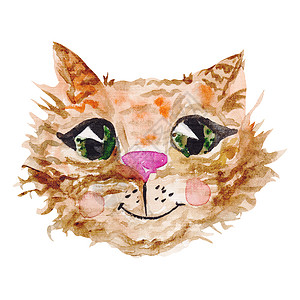 眼睛水彩水彩猫脸眼睛猫猫卡通片小猫猫咪婴儿绘画艺术品橙子插图背景