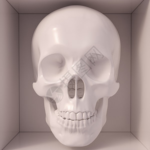 白头骨人类解剖学议事医学药品骨架骷髅头海盗治疗骷髅高清图片