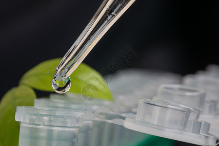 特写微离心管实验摄影微生物学持有者测试法医实验室塑料标本技术背景